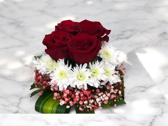 Purple Roses 1 Purple Roses