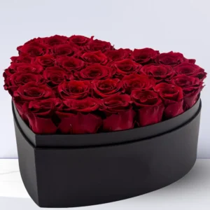 Red Roses