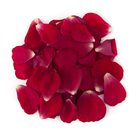 Petals Red 1 Petals Red