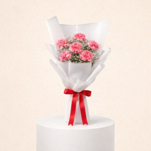 6 Pink Carnations Flower Bouquet