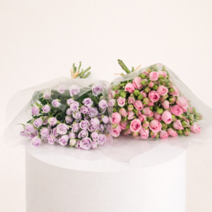 A Pair Of Beauties Cut Flowers