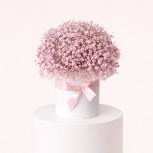 Ba016 Box Arrangement Baby Breath