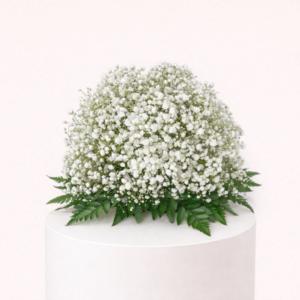 Baby Breath For Table Bt255