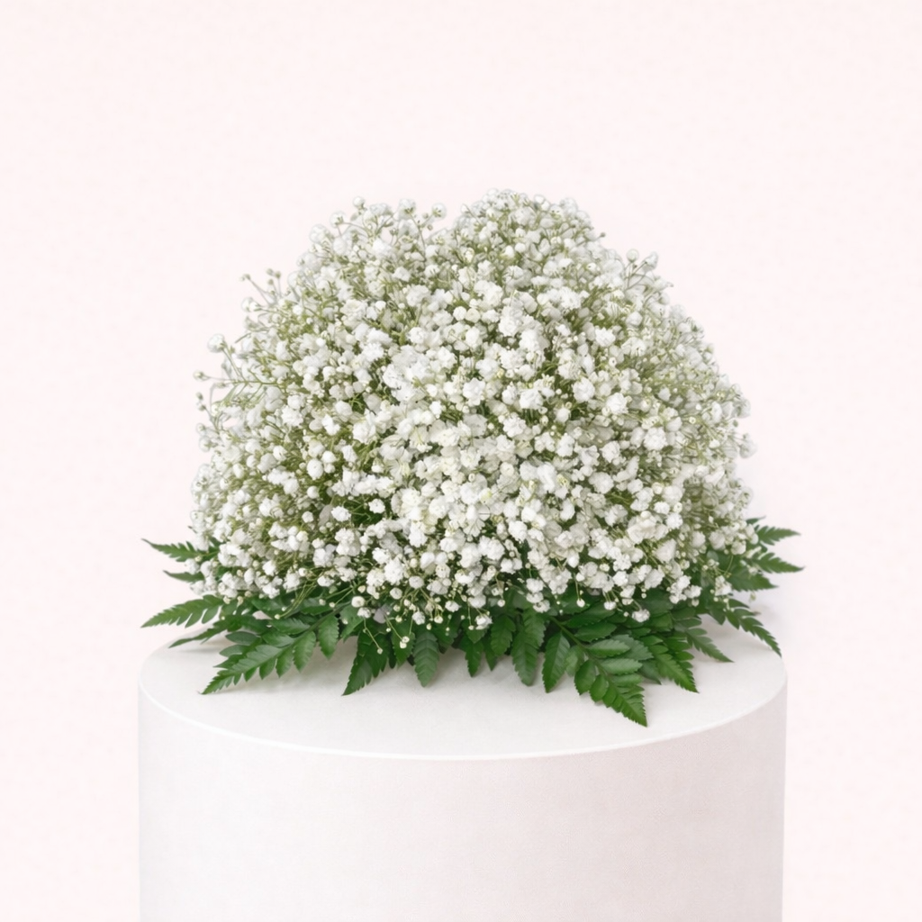 Baby Breath For Table Bt255 1 Baby Breath For Table Bt255