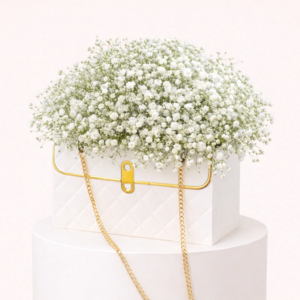 Baby Breath With Bag