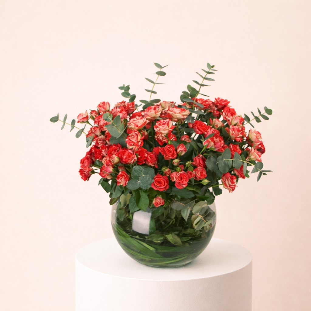 Baby Roses Double Color With Fish Ball 1 Baby Roses Double Color With Fish Ball